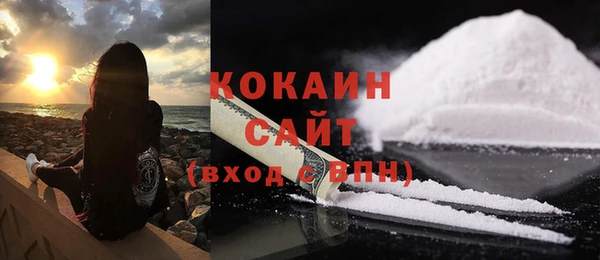 винт Бородино